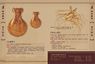 �����õĵ�Ч����Ո�c���Ŵ�!!